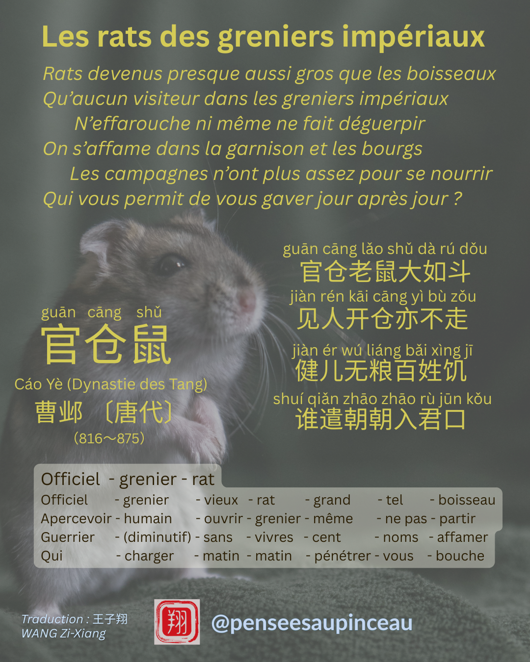 Le(s) rat(s) des greniers impériaux